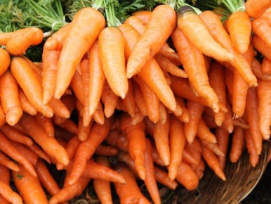 ������ ���� ������� �������? �������� ��� ���� 5 �������� ������ ���������