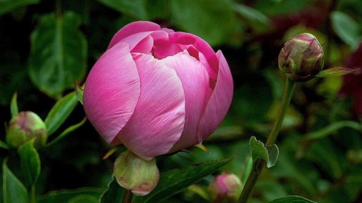 ��� ��������� ������������� ����� ������ ��� ������� ��������