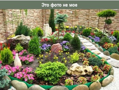 ������ � ���������: ��� ���������