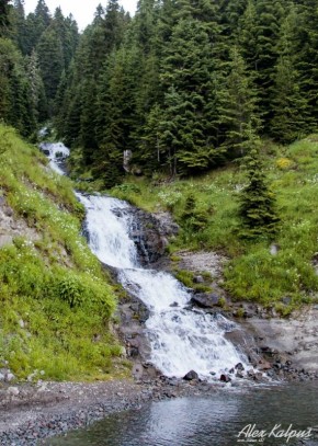 ����������� ����� ������� ��������: ����� ������ �� ������ �������