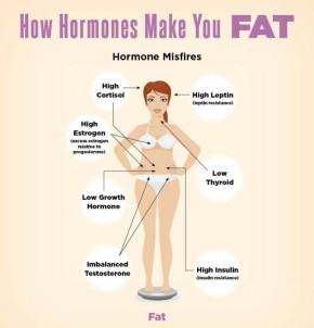 ������� �������� �� ����� ����: ����������� �������� �����