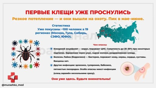 ������ ����� ����������. ������� ������������ ��������������� �������������� ������� �� ������ �� ������