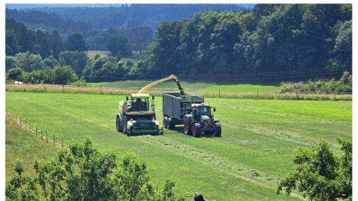 Как подтвердить стаж работы в СССР и повысить пенсию