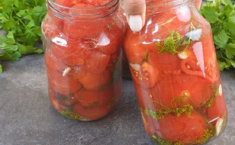 ������ ���� � ������ ������: ������� ����������� ��������� ��� ������