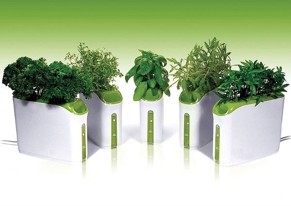 Гидропоника: удобный способ для домашних растений