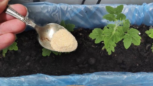 ����� ��������� ����� ��������� �������: ��� ����������� ������