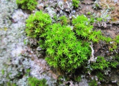 ����������� ������� ������ � ���� �� ����� �������