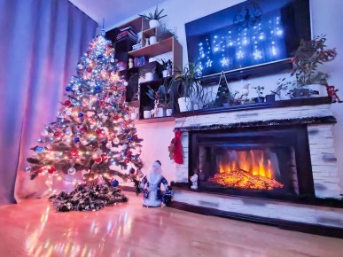 ����� ����������� ����: ������ ��������, ������� �������� ��������� ���������