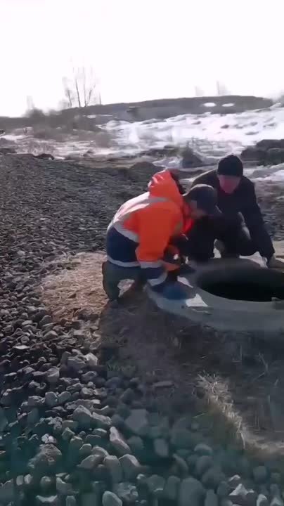 В Нижнем Тагиле в канализацию спустили ковер