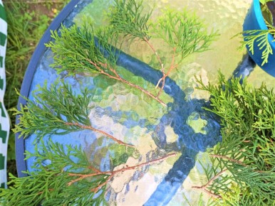 ������ ������������: ��� �������� ������ ��� ����������� ��������