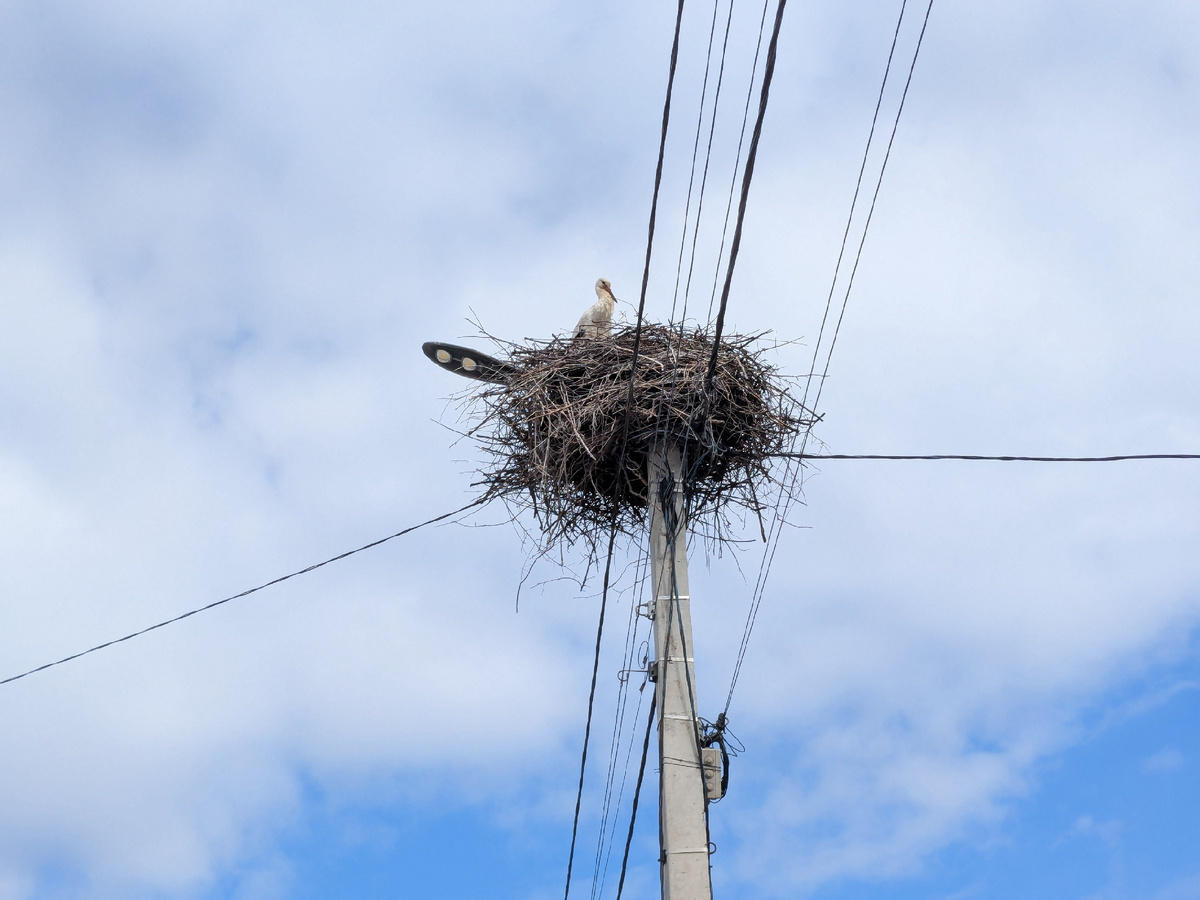 Цены остаются стабильными: как найти своих среди множества
