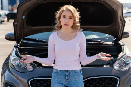 ��� ������� �������� �� ���� ����: ��� ���� �������� �������������� � �������