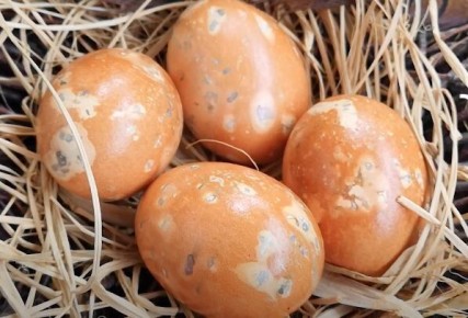 ��� ������� ���������� ���������� ���� � ������� � ������������ �����������