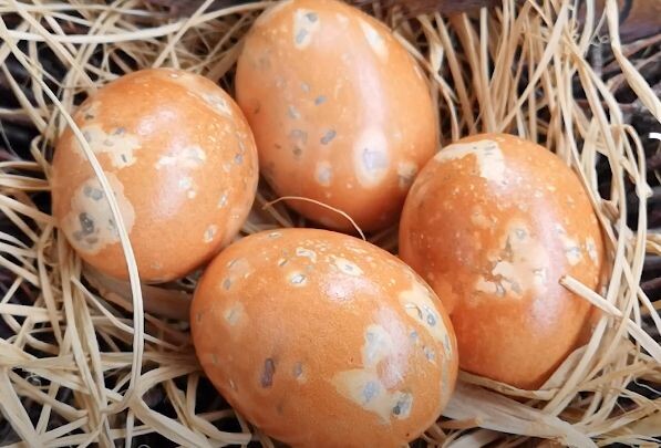 Как создать уникальные пасхальные яйца с каркаде и натуральными красителями