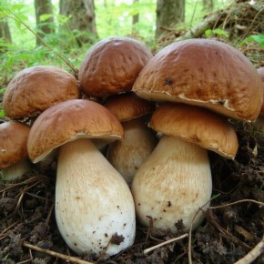 ��� ������� ������ ���������� ������ ���������� ��� ������ ����