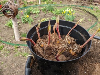 ������� �������: ��� �������� ��������� �����