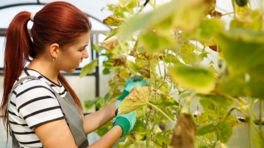 ��� �������� ������������ ������� ������ � �������� ������ �� 20 �����������