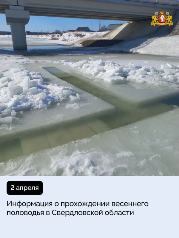 � ������������ ������� ������������ �������� ����������� �� �������� ��������� ���������