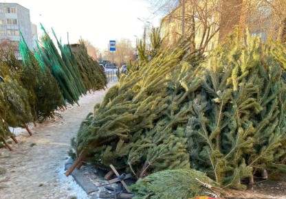 ��� ������� ����� ���� �� ����� ���: ������� ������� ����������