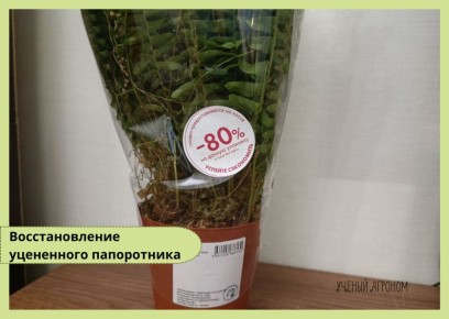 ���������� ����������: ��� ������� � ����� ��������� ��������