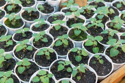 ����� ������ � ������ � ����!