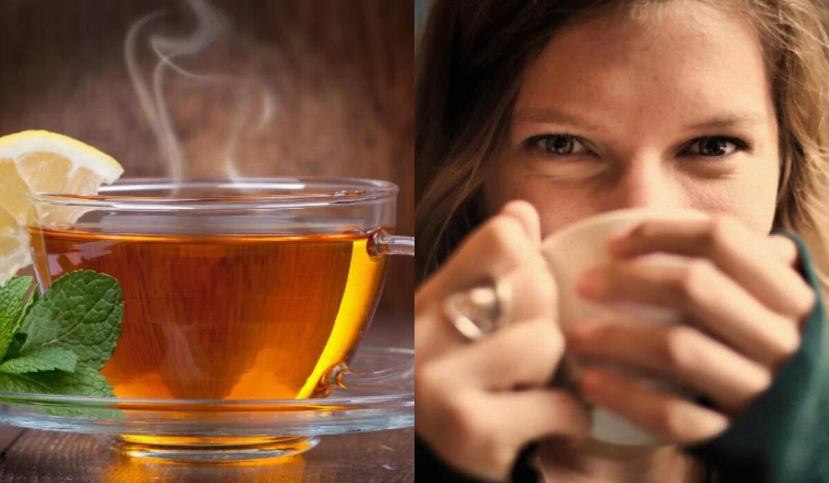 Что выбрать: зеленый или черный чай?