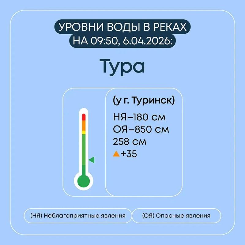 � ������������ ������� ������������ �������� ����������� �� �������� ��������� ���������