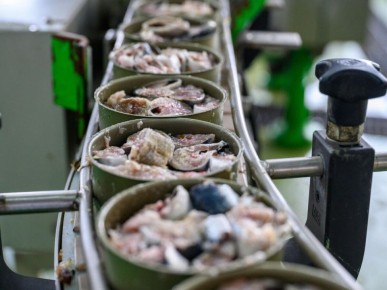 �������� ��� ���������: ������ ���������� �������� ��������� � ���������