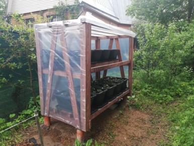 ������� ��� ��������: �������� � ������� �����������