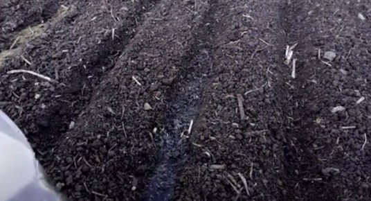 ������ ������� ������� �������� ��������� ������: ��� ����� � ������