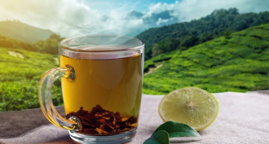 �������-������: ���������� ��� ��������� ��� �� �����