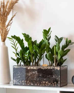 ������������: �� ����� �� ����� � �������� ��� ������������ ������