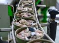 Продукты под контролем: свежие результаты проверки консервов с сардинами