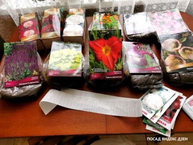 Эффективные способы обработки посадочного материала без химии