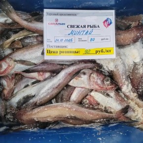 На ярмарках стартует реализация рыбы: свежие морепродукты по выгодным ценам