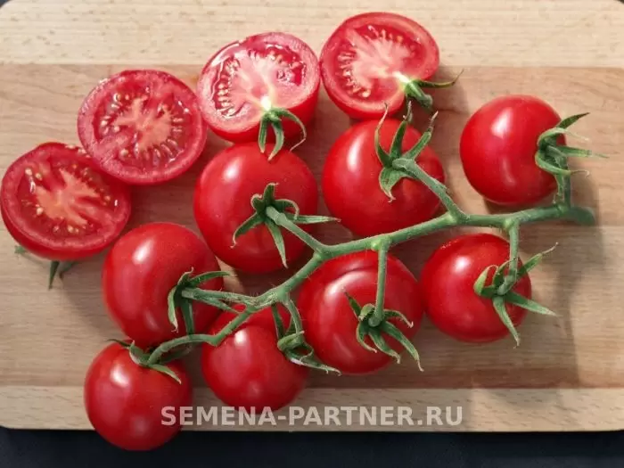 Томат Маскотка: удивительный урожай на вашем балконе