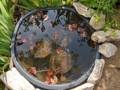 ������: ����������� ������� ��� ���������