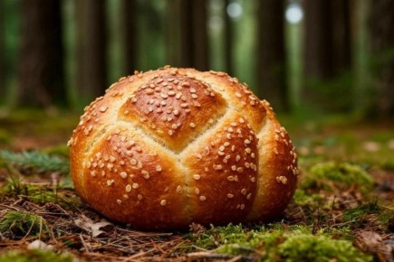 ������ � ���� �� ���������: ��� ������� ������ ������ ������ �����