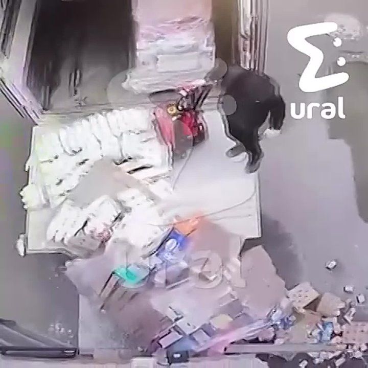�������� ����� � ���������� ������ �� ���������� "������" � ������ ������