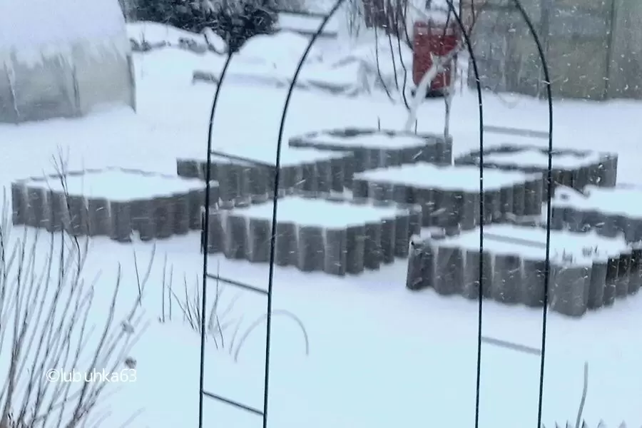 Зелень из-под снега: как собирать урожай даже в холодной весне