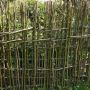 Живая изгородь из ивовых прутьев: забор, который растет на глазах