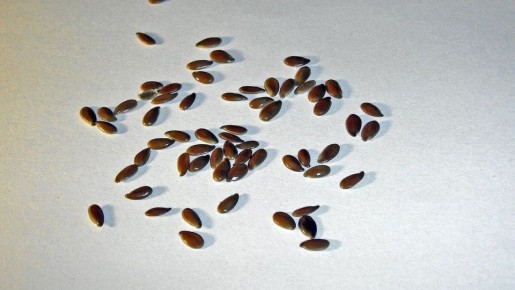 ���������� ������: ����� ��� � ��������� ��� ������ �����?