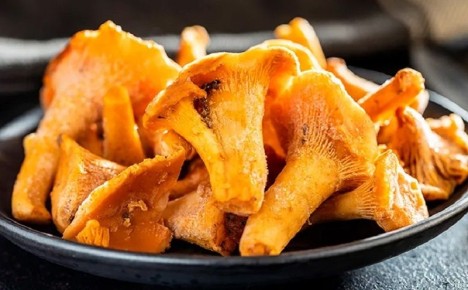 ������� �� ����� �����: ������� ��������� ����� ��� ��������