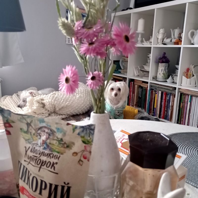 ������� ����� � ���: ������� ������� �� ������ ����