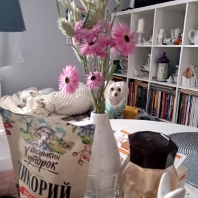 ������� ����� � ���: ������� ������� �� ������ ����