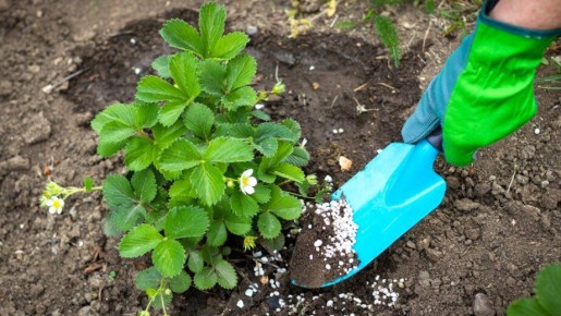 ������� ��������� ����� �� ���������: ��� �������� ���������������� ������