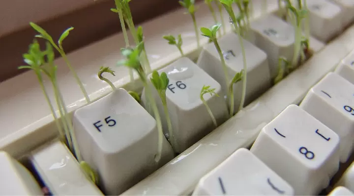 Секреты эффективной чистки клавиатуры: как сохранить устройство в идеальном состоянии