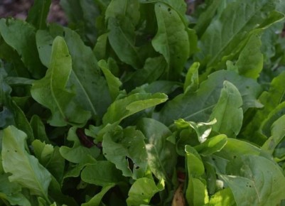 ���������� ������: ������� ������� ����������� ������