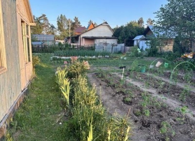 Кофейная гуща: неожиданные секреты для вашего огорода