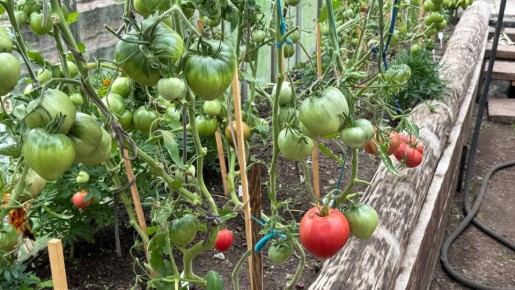 ��������� ����� ��� ��������� ����������� �������